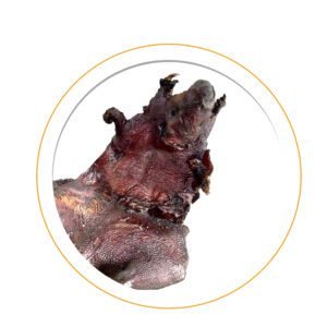 Dried Grasscutter – Wild Harvest – Big Size - Buy online at Afribabah African Store